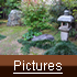 Japanese garden picture