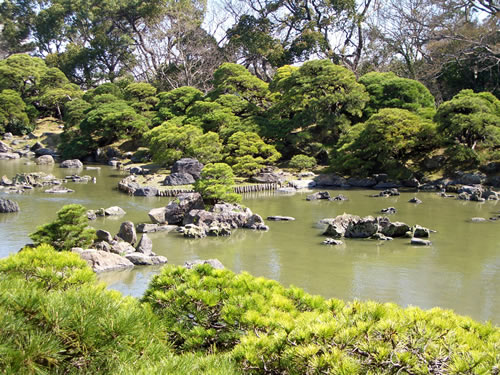 Rock, pond and hill garden