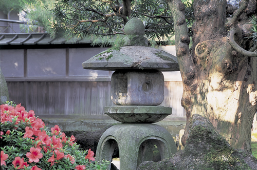 Azalea and stone lantern