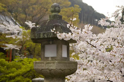 Stone lantern