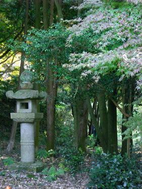 Stone lantern in nature