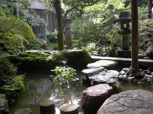 Step stone in a pond